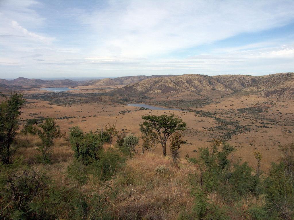 090516_Pilanesberg 184.jpg